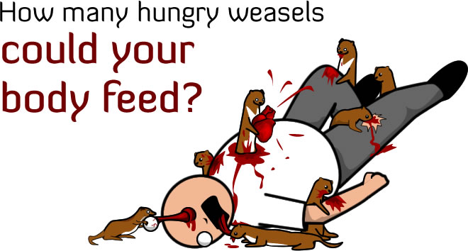 How many hungry weasels could your body feed?