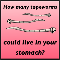 How many tapeworms could live in your stomach?