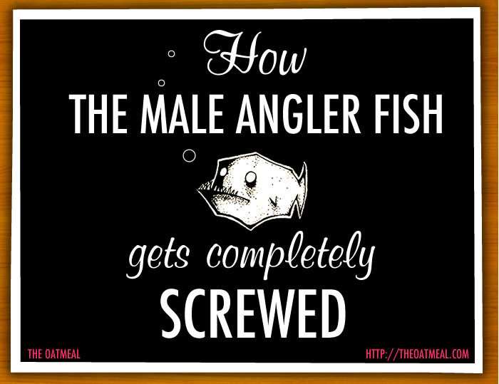 How the male angler fish gets completely screwed