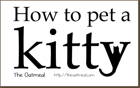 How to pet a kitty