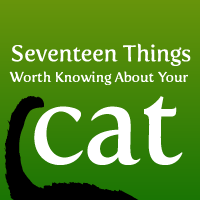 17 Things Worth Knowing About Your Cat