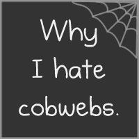 Why I Hate Cobwebs