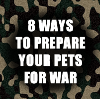 8 Ways to Prepare Your Pets for War
