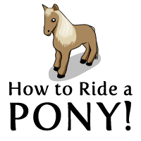 How to Ride a Pony