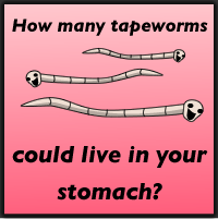 How many tapeworms could live in your stomach? Quiz